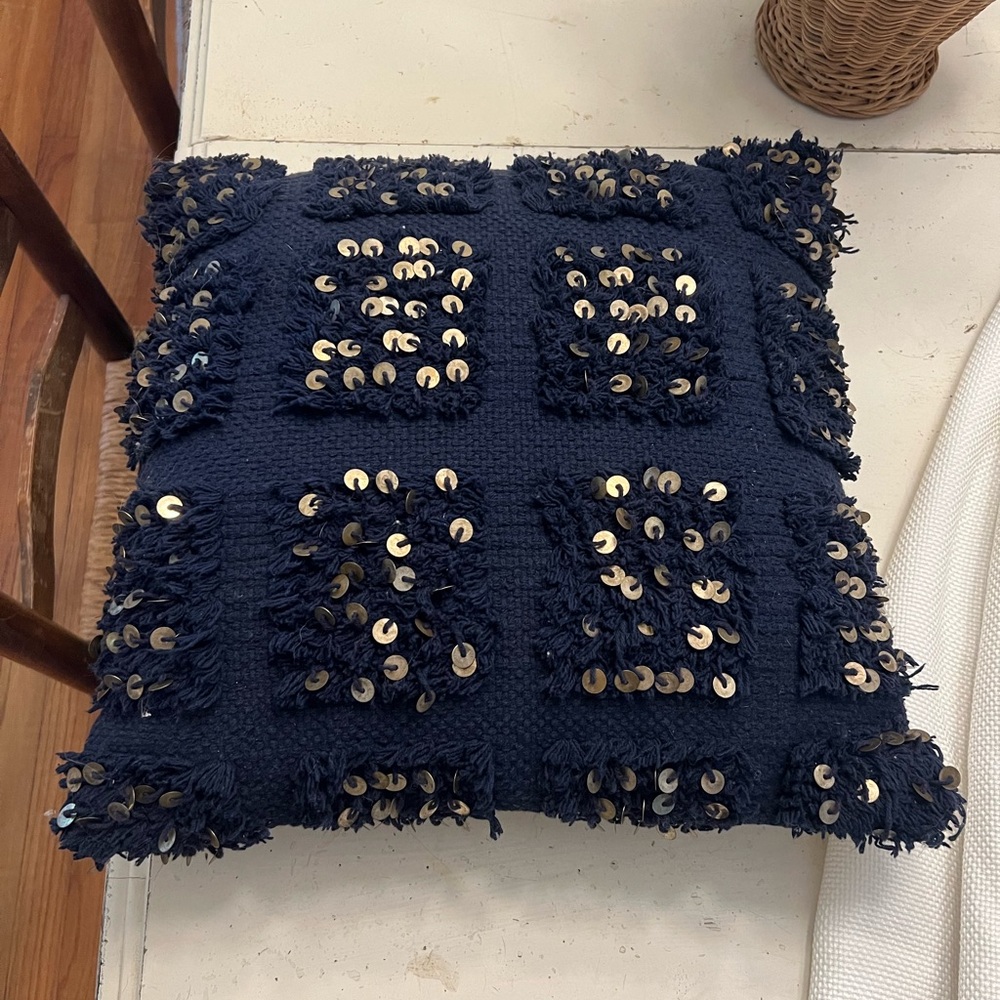 Pottery Barn pillow